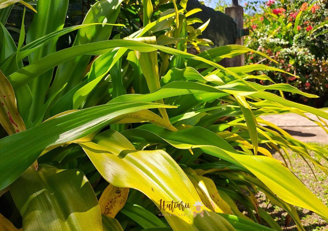 Hutiarii House & Car & Excursions Raiatea Villa Tevaitoa Bagian luar foto